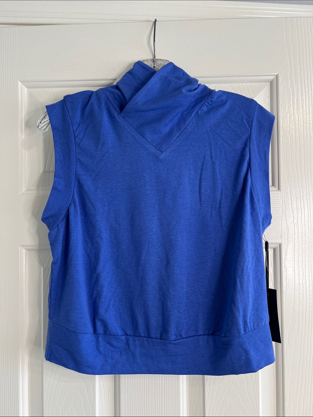 NWT Kiya Tomlin Amparo Blue wide leg pleated pants & sleeveless top set - Picture 4 of 14